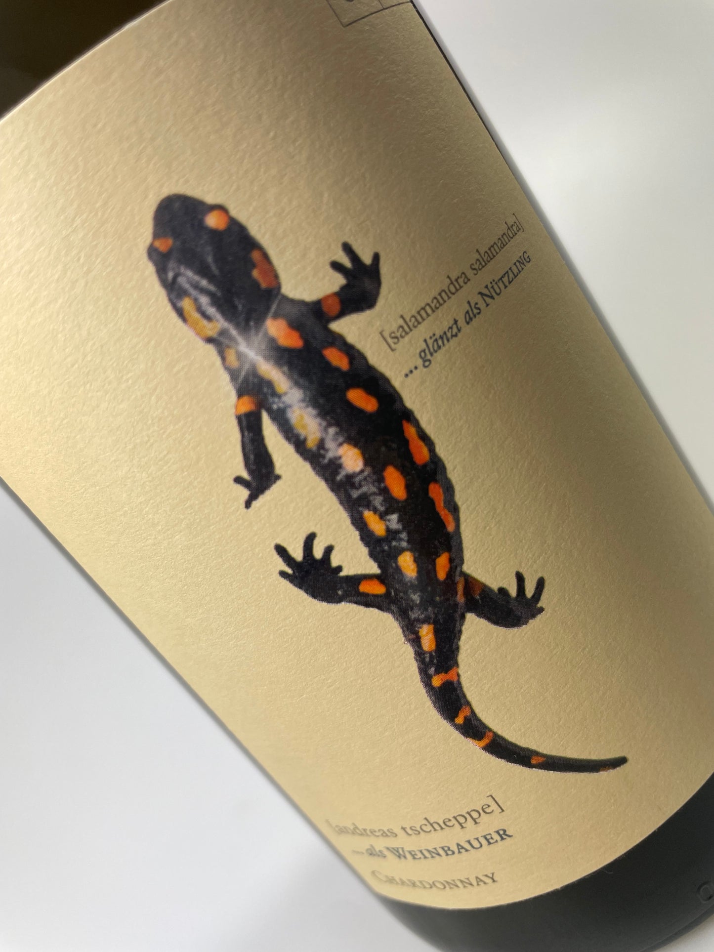 Etikett Weingut Tscheppe Salamander