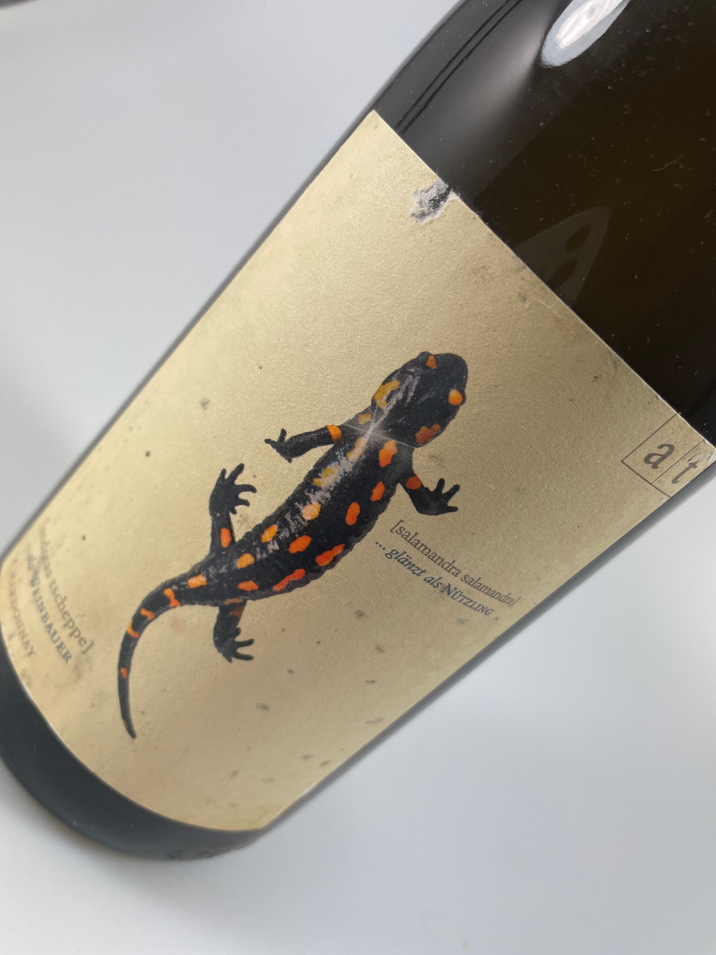 Salamander Chardonnay - Morillon 2019