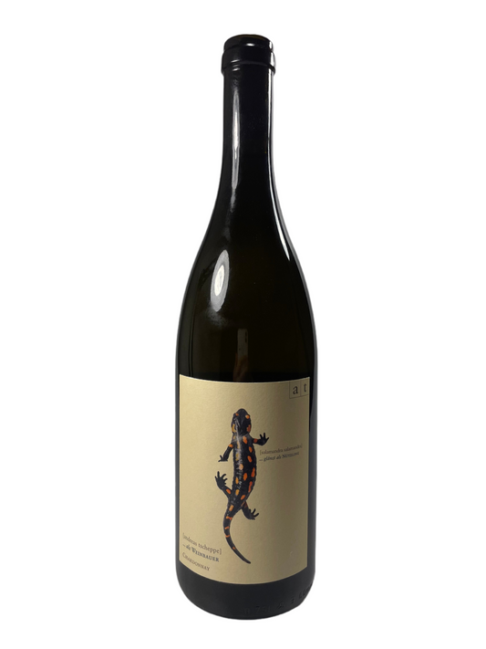 Weingut Tscheppe Salamander