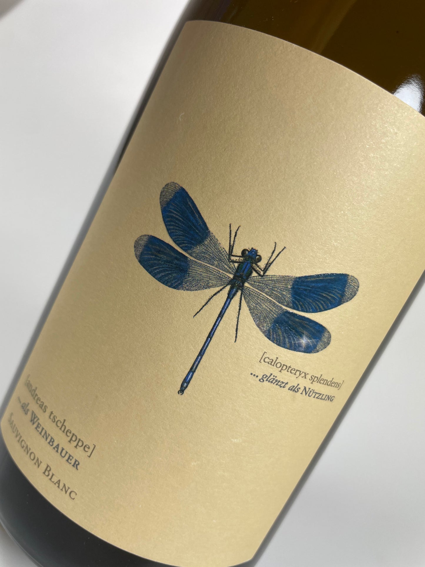 Etikett  Tscheppe Blaue Libelle "plus" Sauvignon Blanc 2022
