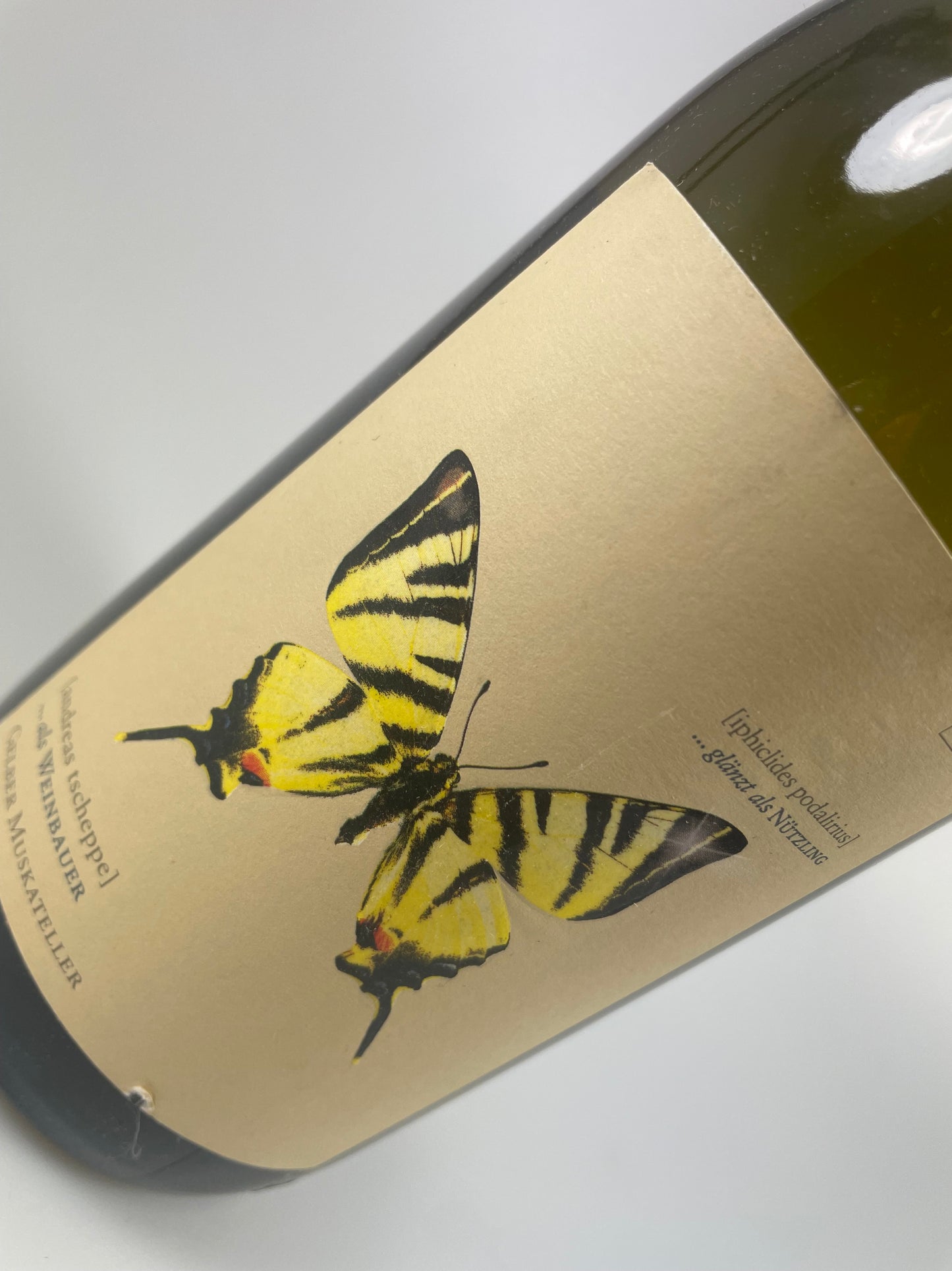 Swallowtail butterfly "plus" Yellow Muscat 2021