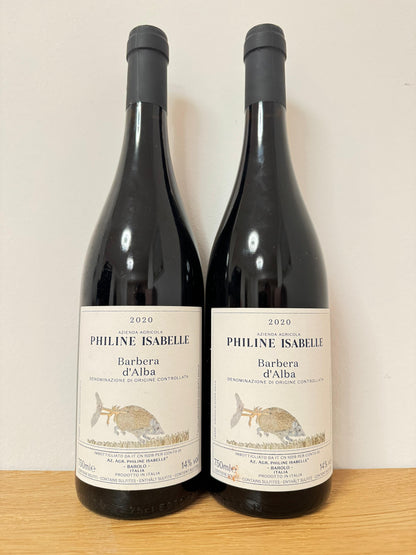 6 Bottle Piedmont Selection (Chardonnay, Barbera, Dolcetto) 2020