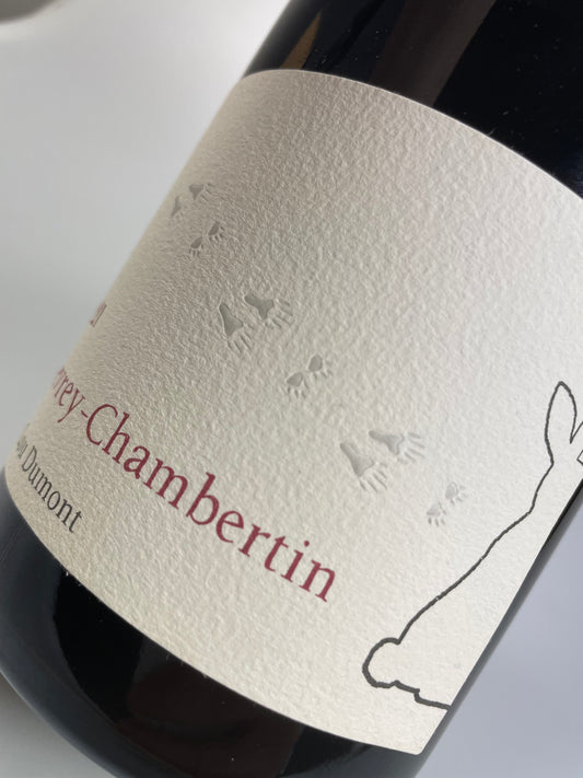 Gevrey Chambertin bio 2021