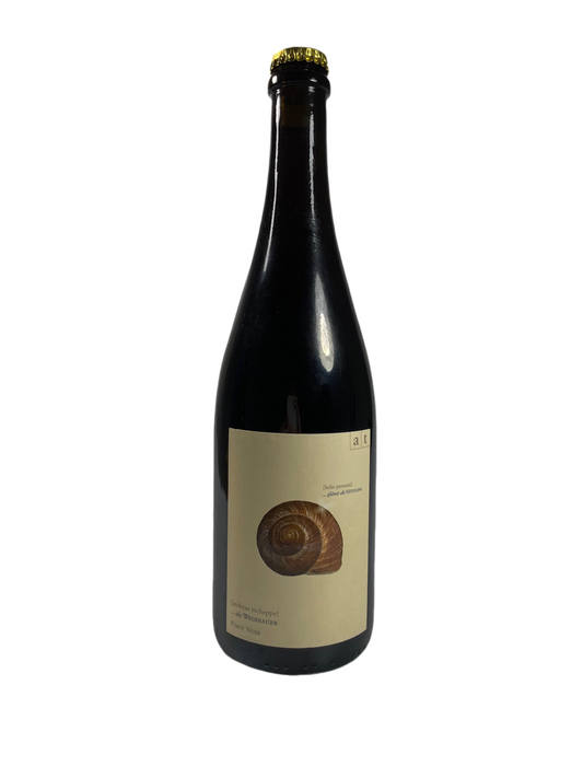 Weinflasche Weinbergschnecke Pinot Noir Rose 2018