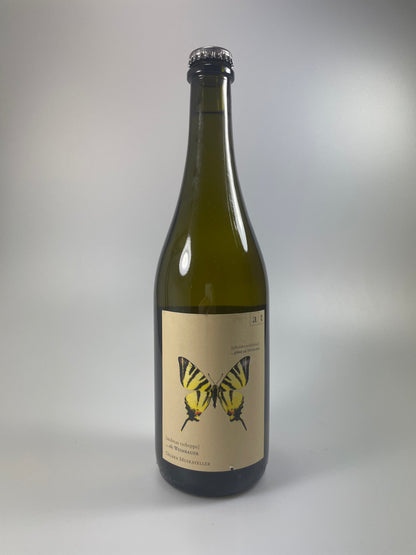 Swallowtail butterfly "plus" Yellow Muscat 2021